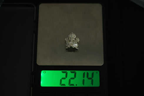 Pure Silver Gayathri Devi Idol 22.13 grams